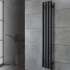 Полотенцесушитель  EF Levante 210×1200 черная